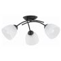 Alfa TORIZO 62660 Stropo šviestuvas