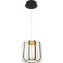 Aviano Lighting XARA 6210-0110 Pakabinama lempa 17w/led 3000k 3000K