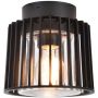 Lutec SHYNE 6397501012 Stropo šviestuvas 1x25w/e27 ip54