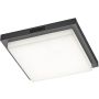 Trio BERMEJO 630369242 Stropo šviestuvas 1x14w/led 2300+3000+4000k 1450lm ip54