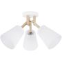 TK Lighting VAIO 665 Stropo šviestuvas 3x60W/E27