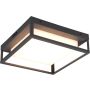 Trio WITHAM 677860142 Stropo šviestuvas 1x14w/led 2300+3000+4000k 1550lm ip54