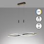 Fischer&Honsel Torcido 61018 Pakabinama lempa 1x27W/LED 2700K 3200 lm IP20