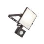 Endon SCIMITAR PIR 73452 Sienos lempa 10W/LED 4000K 800LM IP44