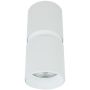 Zambelis CEILING SPOT S159 Lubų šviestuvas 1x40w/GU10 IP20