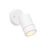 Endon PALIN 75443 Sienos lempa 7W/GU10 IP44