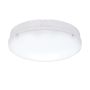 Endon FORCA CCT 77898 Lubų šviestuvas 18W/LED 3000K/4200K/6500K 1600LM IP65