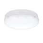 Endon FORCA CCT 77900 Lubų šviestuvas 18W/LED 3000K/4200K/6500K 1600LM IP65