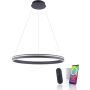 Paul Neuhaus Q-VITO 8412-13 Pakabinama lempa 1x65W/LED 2700-5000k 7000lm ip20