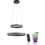 Paul Neuhaus Q-VITO 8420-13 Pakabinama lempa 2x65W/LED 2700-5000k 7300lm ip20