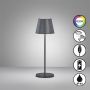 Fischer&Honsel Cosenza 850336 Stalo lempa 2x2W/LED RGBW 180lm IP44