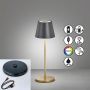 Fischer&Honsel Cosenza 850338 Stalo lempa 2x2W/LED RGBW 180lm IP44