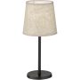 Fischer&Honsel Eve 850224 Stalo lempa 1x25w/e14 ip20