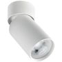 Zambelis CEILING SPOT S123 Lubų šviestuvas 1x40w/GU10 IP20