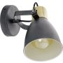 Eglo COSWARTH 901174 Taškinis šviestuvas 1x25w/e27 ip20