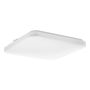 Eglo FRANIA-IP 902076 Lubų šviestuvas 18W/LED 3000K, 4000K, 6000K 2100lm ip44