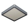 Eglo FUEVA 5 900591 Lubų šviestuvas 1x17W/LED 3000K 2000LM IP20