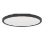Eglo ROVITO 901438 Lubų šviestuvas 13.9W/LED 2700K, 4000K, 6500K 1750lm ip44