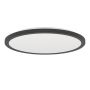 Eglo ROVITO-Z 901464 Lubų šviestuvas 18.5W/LED 2700-6500K 2300lm ip44