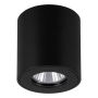 Eglo TORRECOLA 901028 Stropo šviestuvas 1x5W/GU10|LED IP44