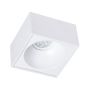 Eko-Light BALI ML0077 Įmontuojamas apšvietimas 1x50W/GU10 IP20