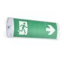 Endon SIGHT PLUS 91146 Avarinė lemputė 4.5W/LED 6500K 220LM IP65