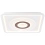Brilliant JAREV G97187/75 Lubų šviestuvas 1x55W/LED 6600LM IP20