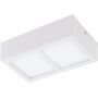 Eglo COLEGIO 95201 Lubų šviestuvas 2x4,2W/LED 1100LM