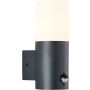 Brilliant Aberdeen 96417/63 Sienos lempa 1x28w/e27 IP44