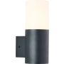 Brilliant Aberdeen 96421/63 Sienos lempa 1x28w/e27 IP44