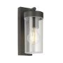 Endon HAYDEN 98439 Sienos lempa 15W/E27 IP44