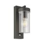 Endon HAYDEN PIR 99756 Sienos lempa 15W/E27 IP44