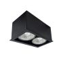 Antigo Cage 1080 downlight natynkowy 2x10W/GU10 IP20
