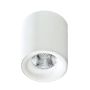 AZzardo MANE AZ2845 Lubų šviestuvas 1x10W/LED 3000K 760LM IP20