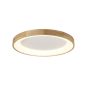 AZzardo SILVAM AZ2698 Lubų šviestuvas 1x50W/LED 3250LM