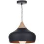 Dar Lighting GAUCHO GAU0122 Pakabinama lempa 1x60W/E27