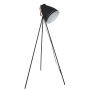 Italux FRANKLIN ML-HN3068-B+RC Stovinė lempa 1x60W/E27