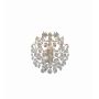 Markslojd ROSENDAL 102334 Sienos lempa 1x40W/E14