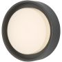 Dar Lighting RALPH RAL5239 Sienos lempa 1x9W/LED 3000K 626LM IP65