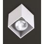 Maxlight PET SQUARE C0082 Lubų šviestuvas 1x50w/gu10 ip20
