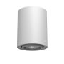 Antigo Point 1259 downlight natynkowy 1x10W/GU10 IP20