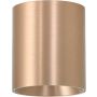 Azzardo BABIL AZ6556 Lubų šviestuvas 1x13w/led 3000k/4000k 1297lm ip20