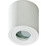 AZzardo BRANT AZ2690 Lubų šviestuvas 1x50W/GU10 IP44