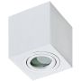 AZzardo BRANT AZ2822 Lubų šviestuvas 1x50W/GU10 IP44