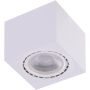 AZzardo ECO AZ4318 Lubų šviestuvas 1x16W/GU10/ES111 IP20