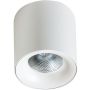 AZzardo MANE AZ4155 Lubų šviestuvas 1x30W/LED 3000K IP20