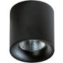 AZzardo MANE AZ4156 Lubų šviestuvas 1x30W/LED 3000K IP20