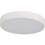 Azzardo PANDINO AZ6589 Lubų šviestuvas 1x24w/led 2800k/4000k/6000k ip44