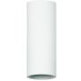 Zambelis CEILING SPOT 23220 Lubų šviestuvas 1x5W/GU10 IP20