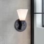 Elstead Lighting Bowtie BOWTIE-1-MB Sienos lempa 1x3 W/G9 3000 K 300 lm ip44
